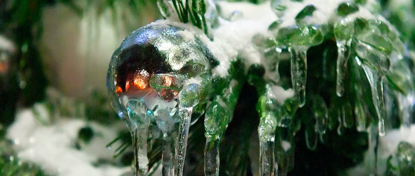 Гололед и оттепель — в Витебске будет не рождественская погода