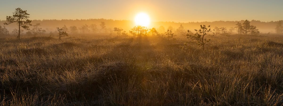 Эстония надеется увидеть шаги по принятию Украины в НАТО