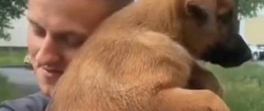 Парень подхватил самый добрый тренд TikTok и приютил дворняжку