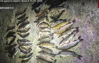 В Беларуси начали ловить рыбаков-нарушителей с помощью дронов — Видео