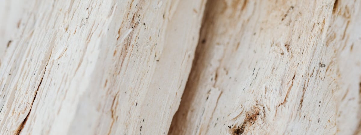 Цены на сахар в мире упали до двухлетнего минимума