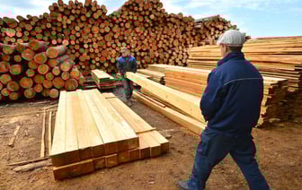 Лукашенко разрешил продавать белорусам брёвна для домов вне биржевых торгов