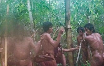 Изолированное племя в джунглях Бразилии попало на скрытую камеру. Ученые знают о нем очень мало