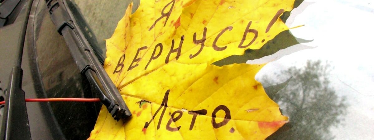 Эти 3 вещи нужно сделать белорусам до наступления холодов. Зачем класть в шкаф лаванду?