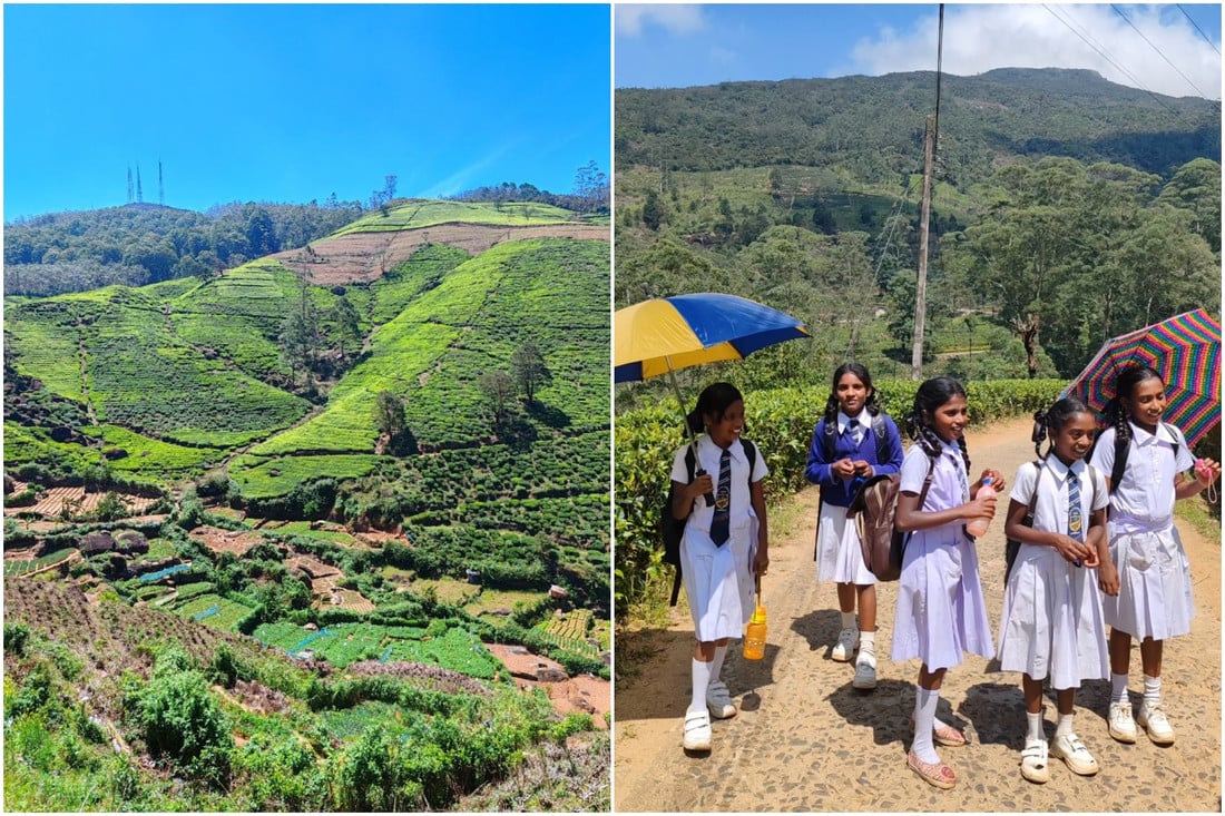 Двое суток провели в самолете — оно того стоило? Слетали на тропический остров посреди зимы и делимся впечатлениями