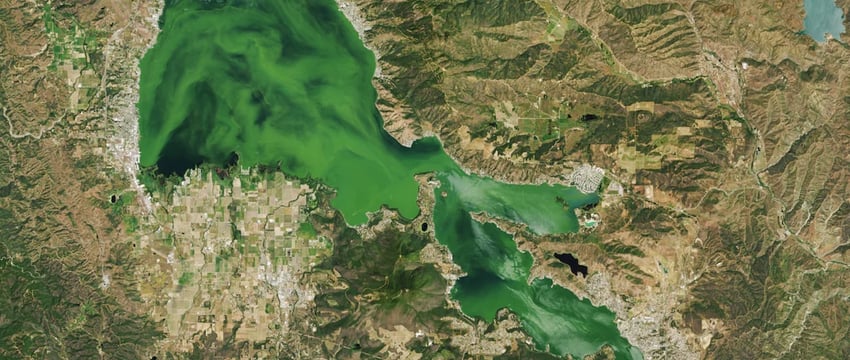 Прозрачное озеро в Калифорнии зеленеет от водорослей, что видно из космоса: NASA