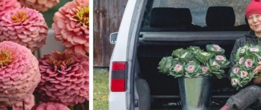 «Для старта надо от $4000». Как белоруска построила цветочный бизнес в Брестской области