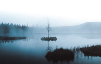 Граждане Чехии в 2024 году меньше экономили и больше тратились на развлечения