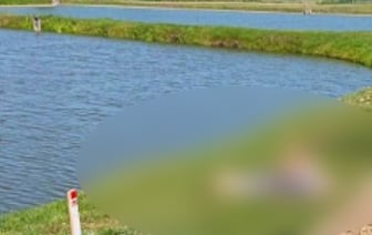 Трагедия на воде на Брестчине: в пруду найден мужчина в одежде