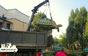 В Гродненский зоопарк привезли 3-метровую черепаху весом в 1 тонну — Фото