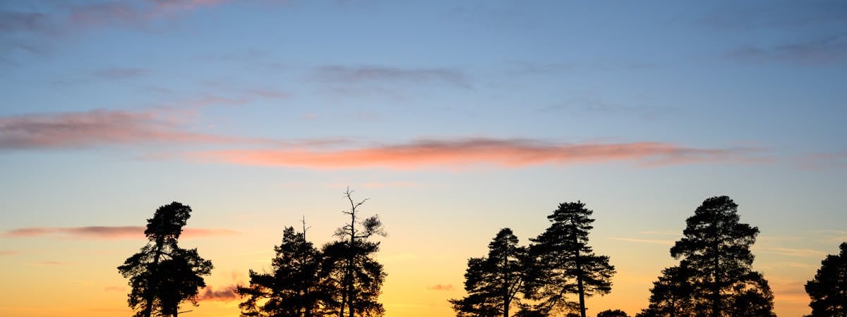 Японская организация получила Нобелевскую премию мира