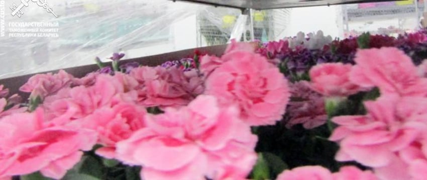 Перевозчик из Литвы пытался незаконно ввезти цветы на 262 тысячи рублей