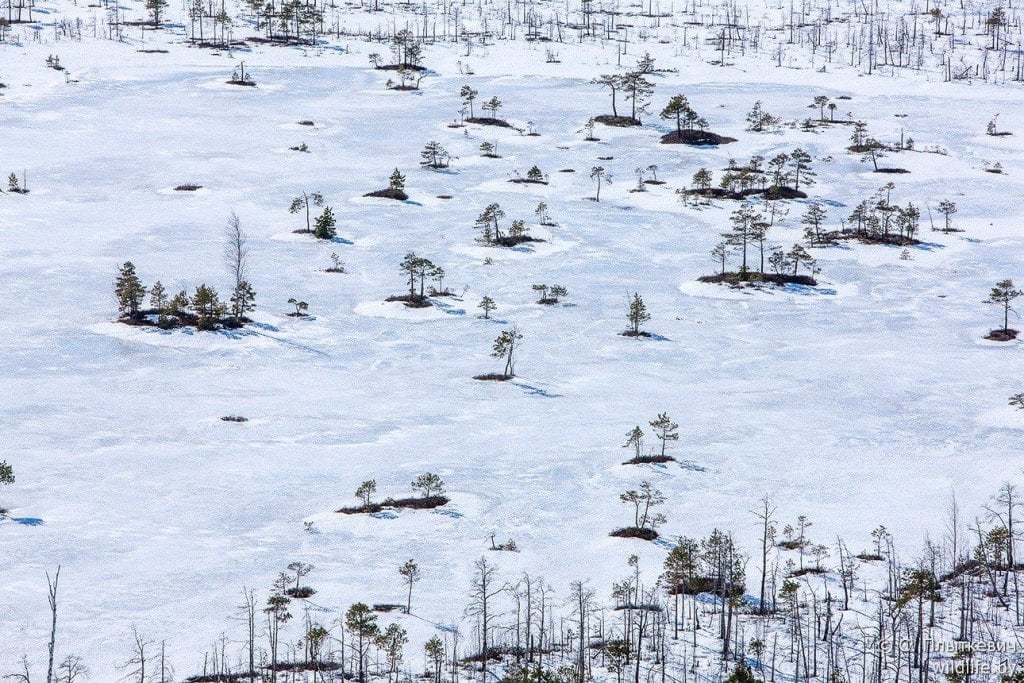 Фото из открытых источников (иллюстративное)