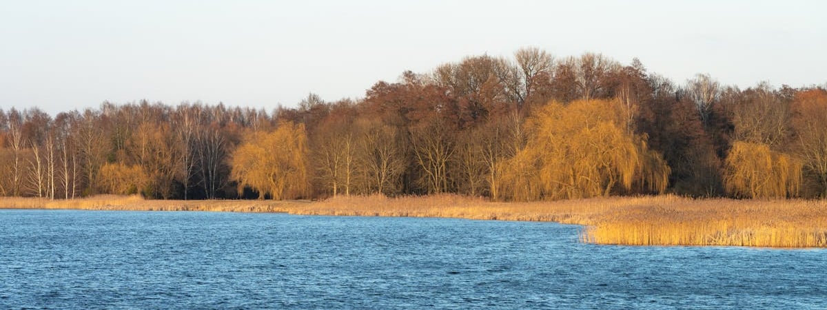 С 1 апреля в Беларуси запускается базовый тариф на мобильную связь