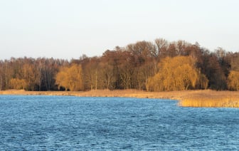 С 1 апреля в Беларуси запускается базовый тариф на мобильную связь
