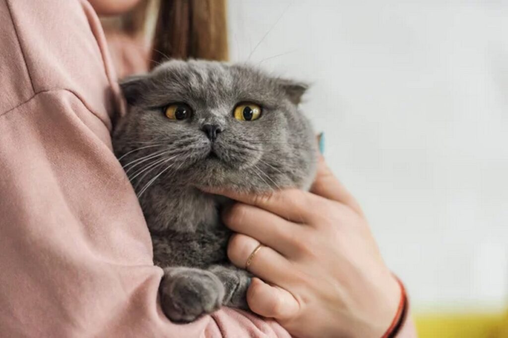 Фото из открытых источников (иллюстративное)