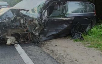 Легковушка с детьми в салоне врезалась во встречный грузовик после наезда на лося