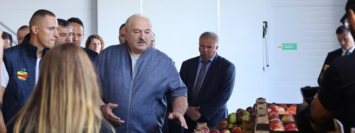 Лукашенко потребовал «перестать кланяться импортному яблоку». Что поручил МАРТ?
