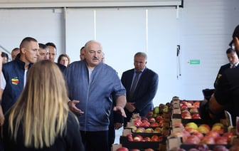 Лукашенко потребовал «перестать кланяться импортному яблоку». Что поручил МАРТ?