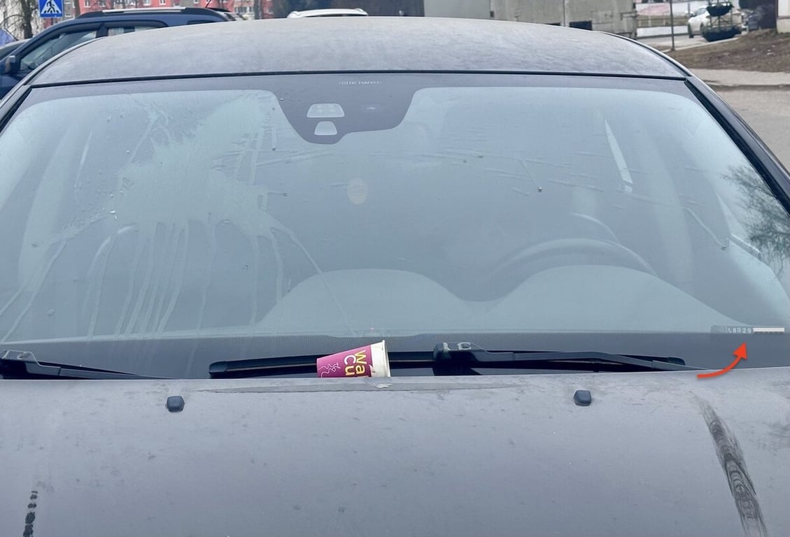 В Беларуси прохожий разлил горячий кофе на лобовое стекло автомобиля. Какое грозит наказание?