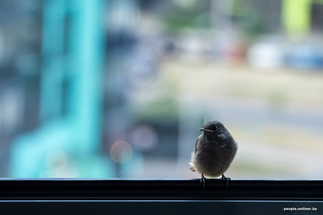 «Меня бьют и унижают, зато я замужем и финансово обеспечена». Монолог белоруски, которая годами жила с абьюзером