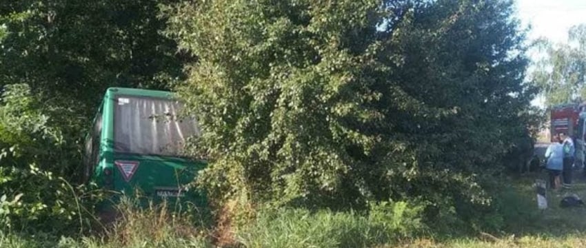 Иск и компенсация пострадавшей в аварии в Брестской области