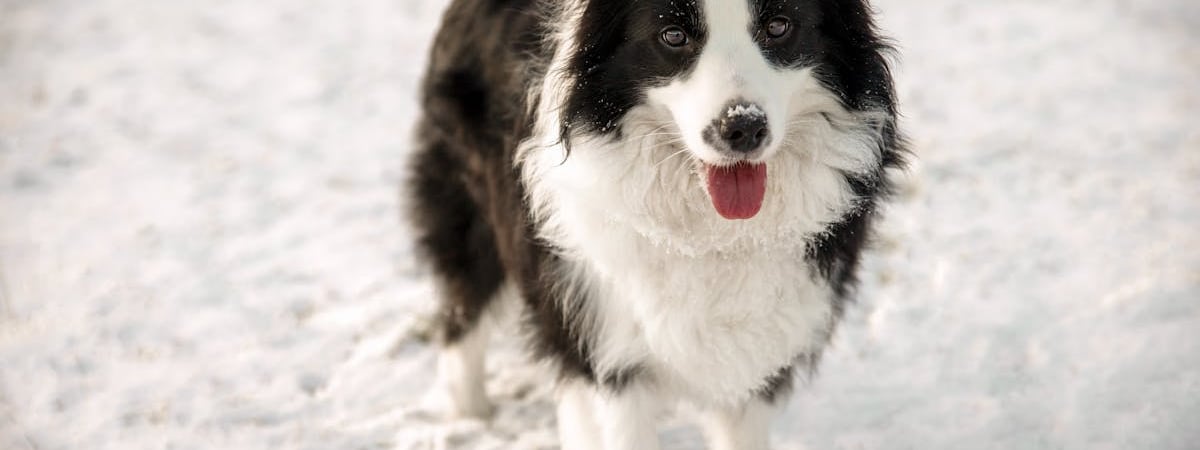 Сейм Латвии поддержал запрет на туристические поездки в Беларусь