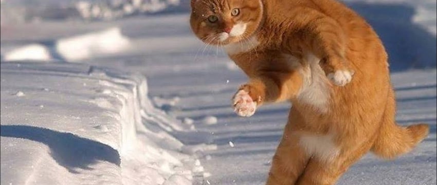 Витебская область лидирует по количеству пострадавших от гололеда