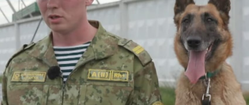 Как пограничники служат на заставе «Дивин» на границе с Украиной?