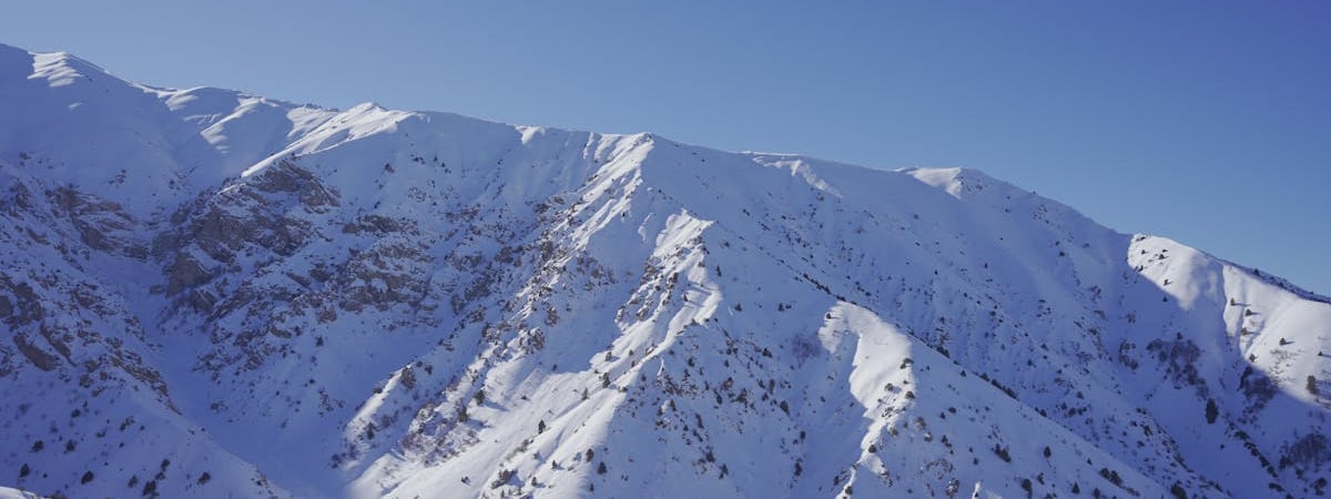 В Узбекистане около 30 государственных услуг передадут частному сектору