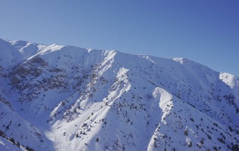 В Узбекистане около 30 государственных услуг передадут частному сектору