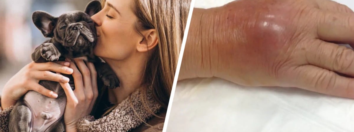 Этими болезнями можно заразиться от домашних собаки и кошки. Узнали, как обезопасить себя и близких — Полезно