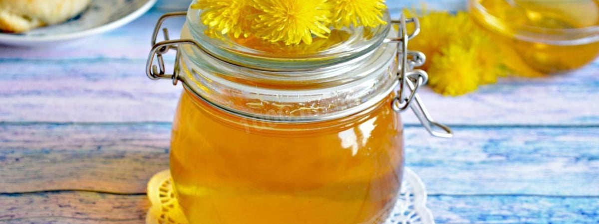Зачем белорусам готовить мёд из одуванчиков? Нашли простой и быстрый рецепт — Полезно