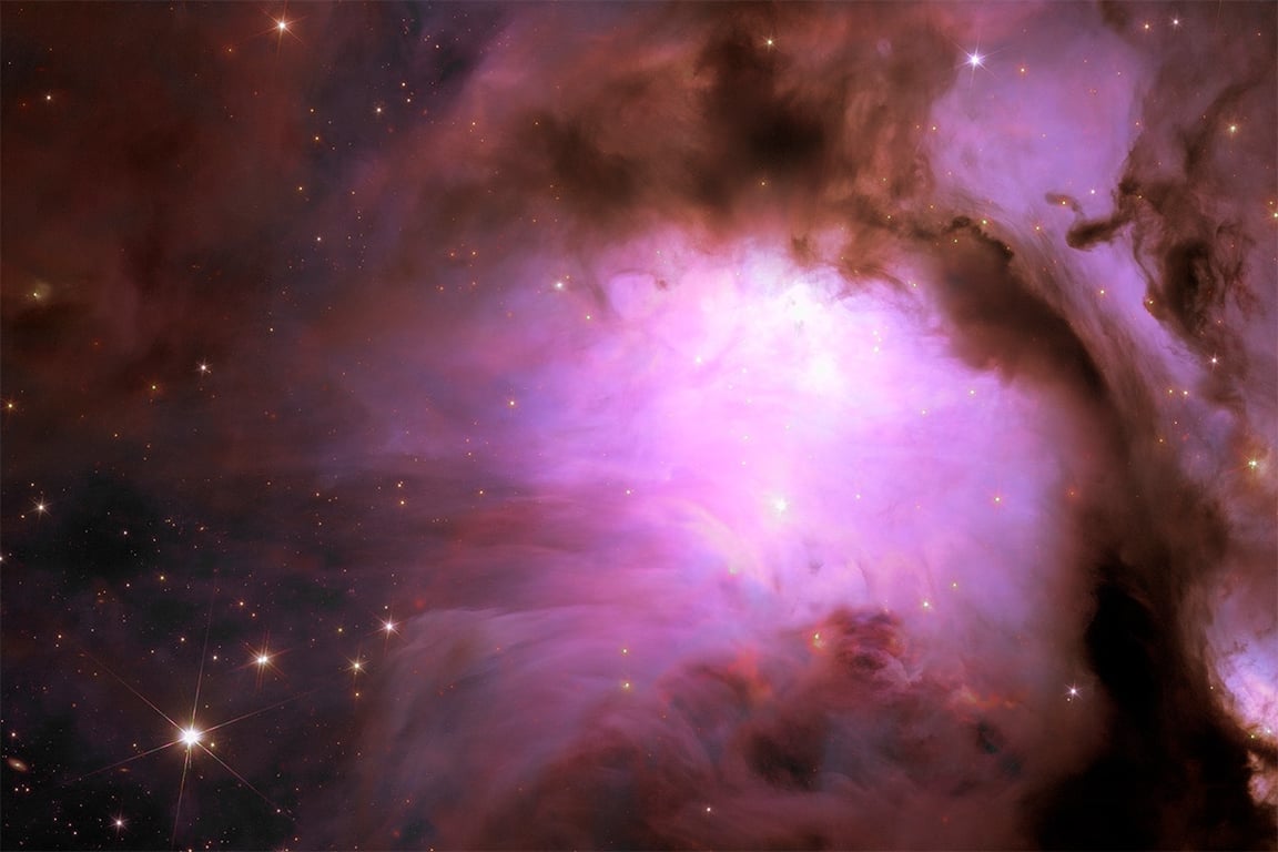Euclid's new image of star-forming region Messier 78, a vibrant nursery of star formation enveloped in a shroud of interstellar dust.