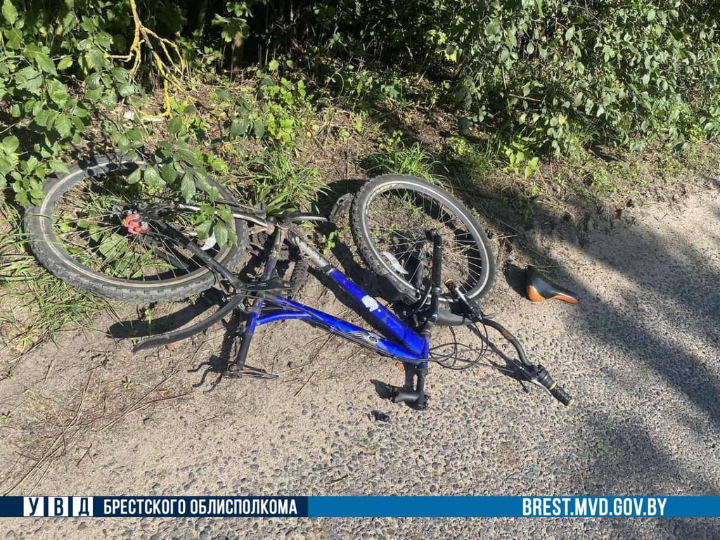 В Кобринском районе 14-летняя велосипедистка не уступила дорогу фуре