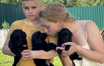 Бывшая завмаг разводит собак редкой породы. Зачем ей это?