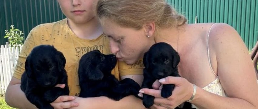 Бывшая завмаг разводит собак редкой породы. Зачем ей это?