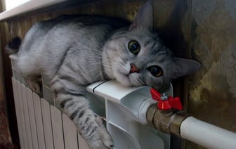 Включать отопление в социальных объектах и жилфонде в Беларуси будут по новым правилам