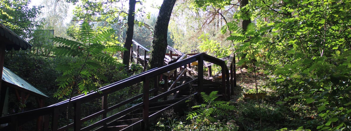 А можно в лес? Узнали, где в Гродненской области сохранились запреты