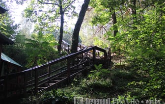 А можно в лес? Узнали, где в Гродненской области сохранились запреты