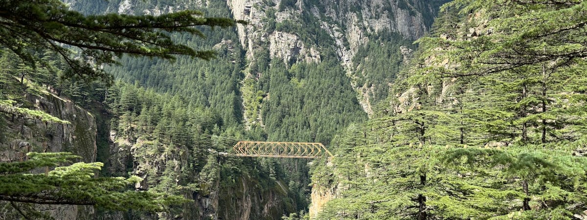 МИД Индии пытается спасти 50 своих граждан, добиваясь их увольнения из российской армии