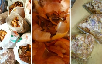 Белорусы начали продавать к Пасхе луковую шелуху. Сколько просят?