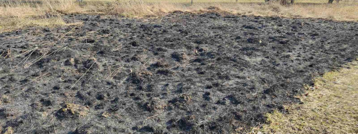 В Гродненской области люди пострадали из-за сжигания сухой травы
