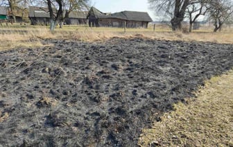 В Гродненской области люди пострадали из-за сжигания сухой травы