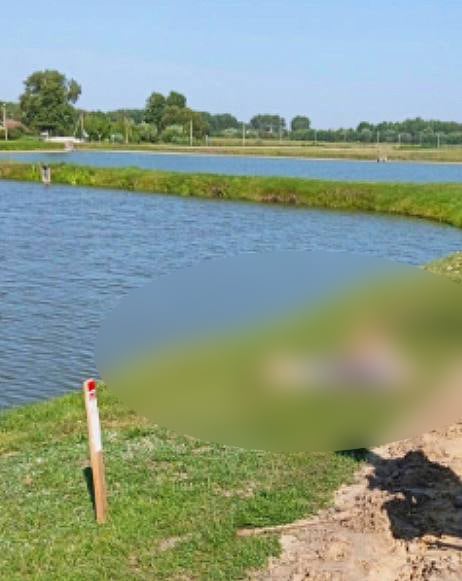 Трагедия на воде на Брестчине: в пруду найден мужчина в одежде