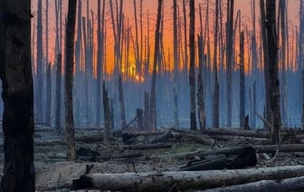 Почему не хочется писать о великой Победе дедов и прадедов