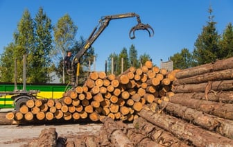 Правила продажи древесины изменили в Беларуси