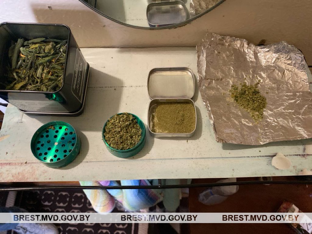 Житель Бреста выращивал дома коноплю