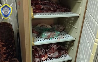 До 4-х лет тюрьмы. Милиционеры возбудили уголовное дело, заглянув в холодильник белоруса — Фото