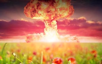 Ученые выяснили, какие организмы и растения смогут выжить после ядерного взрыва